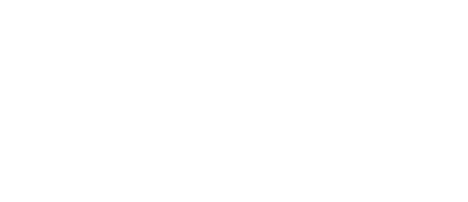 Caritas Africa